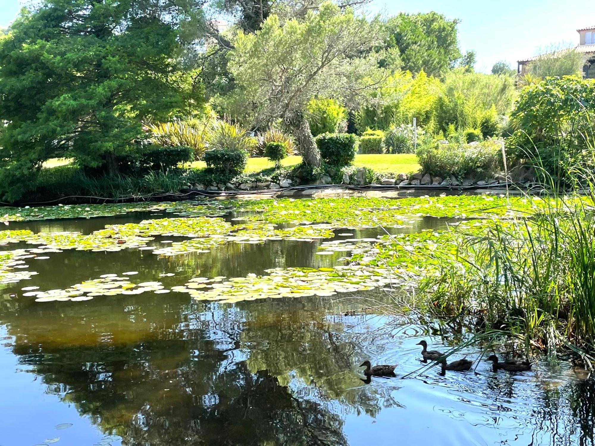 Le Rayon Vert Six-Fours-les-Plages Εξωτερικό φωτογραφία